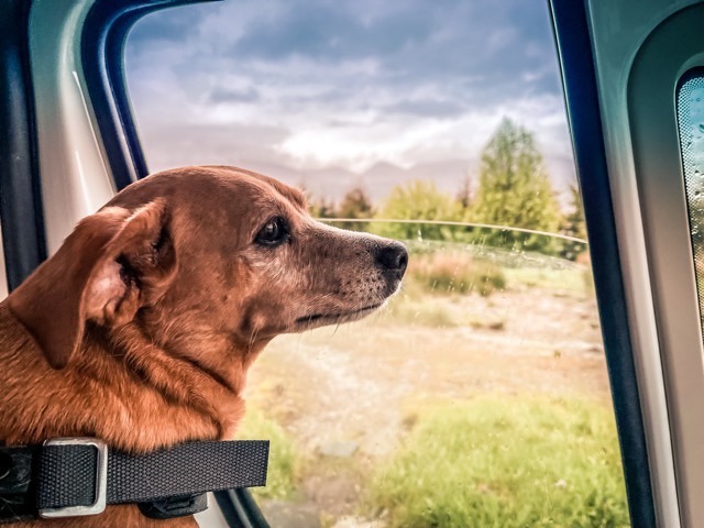 Nana gebie&szlig;t die Aussicht