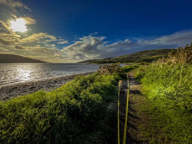 Spaziegang im s&uuml;dlichen Teil Schottlands