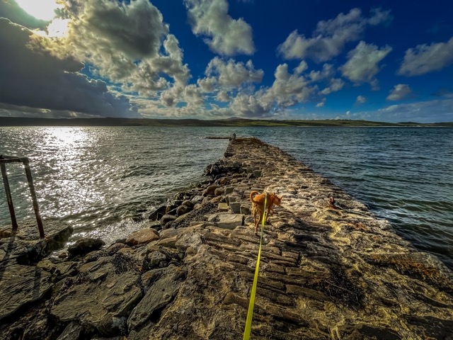 In der N&auml;he von Tongue, Northern Scotland