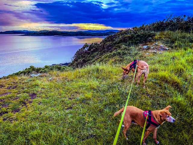 Spaziergang am Castle Point Caravan Park